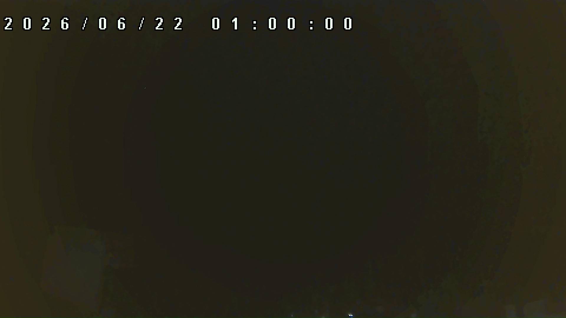 2026年6月22日 01:00ごろの金剛山登山口周辺の空