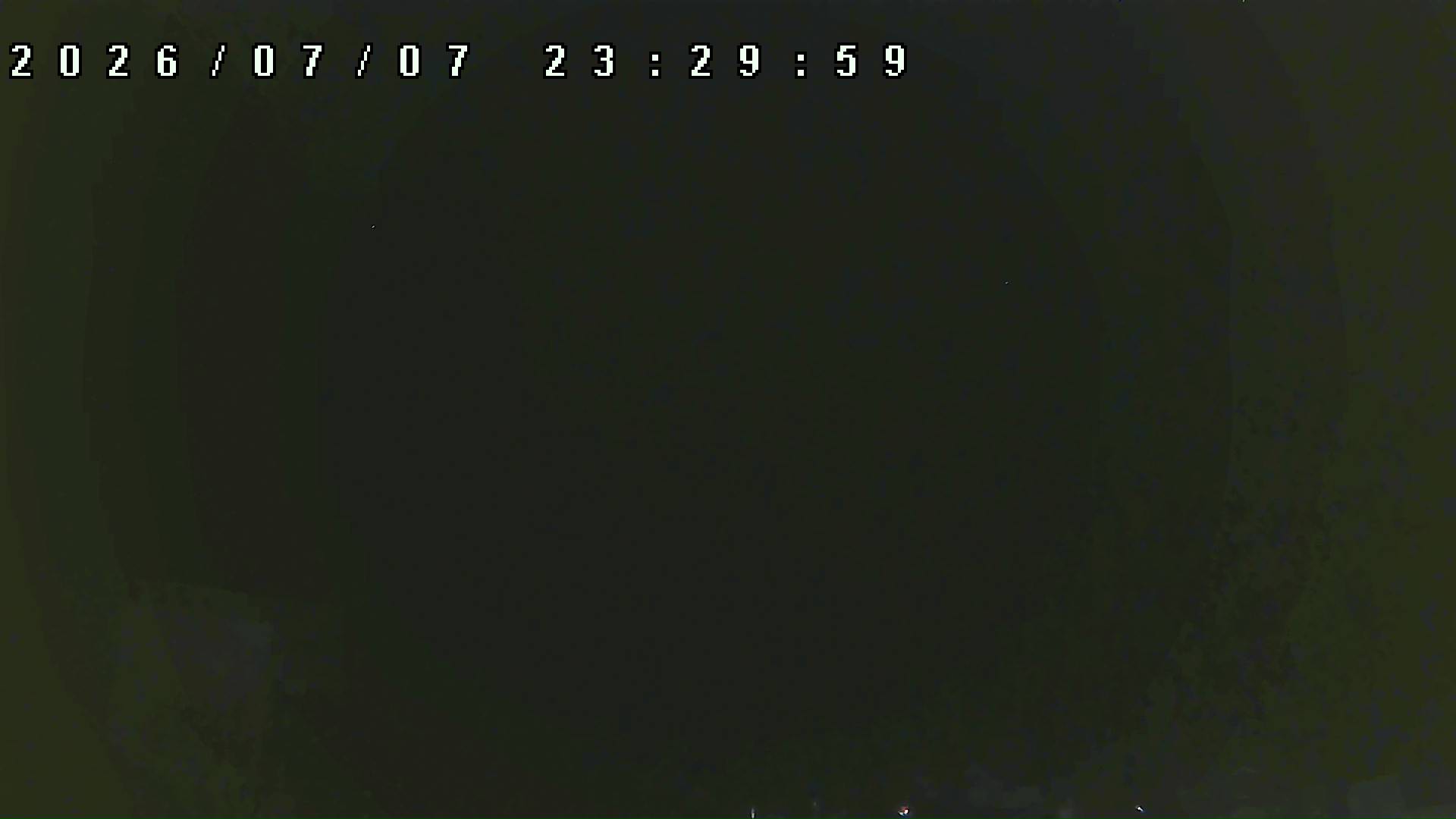 2026年7月7日 23:30ごろの金剛山登山口周辺の空
