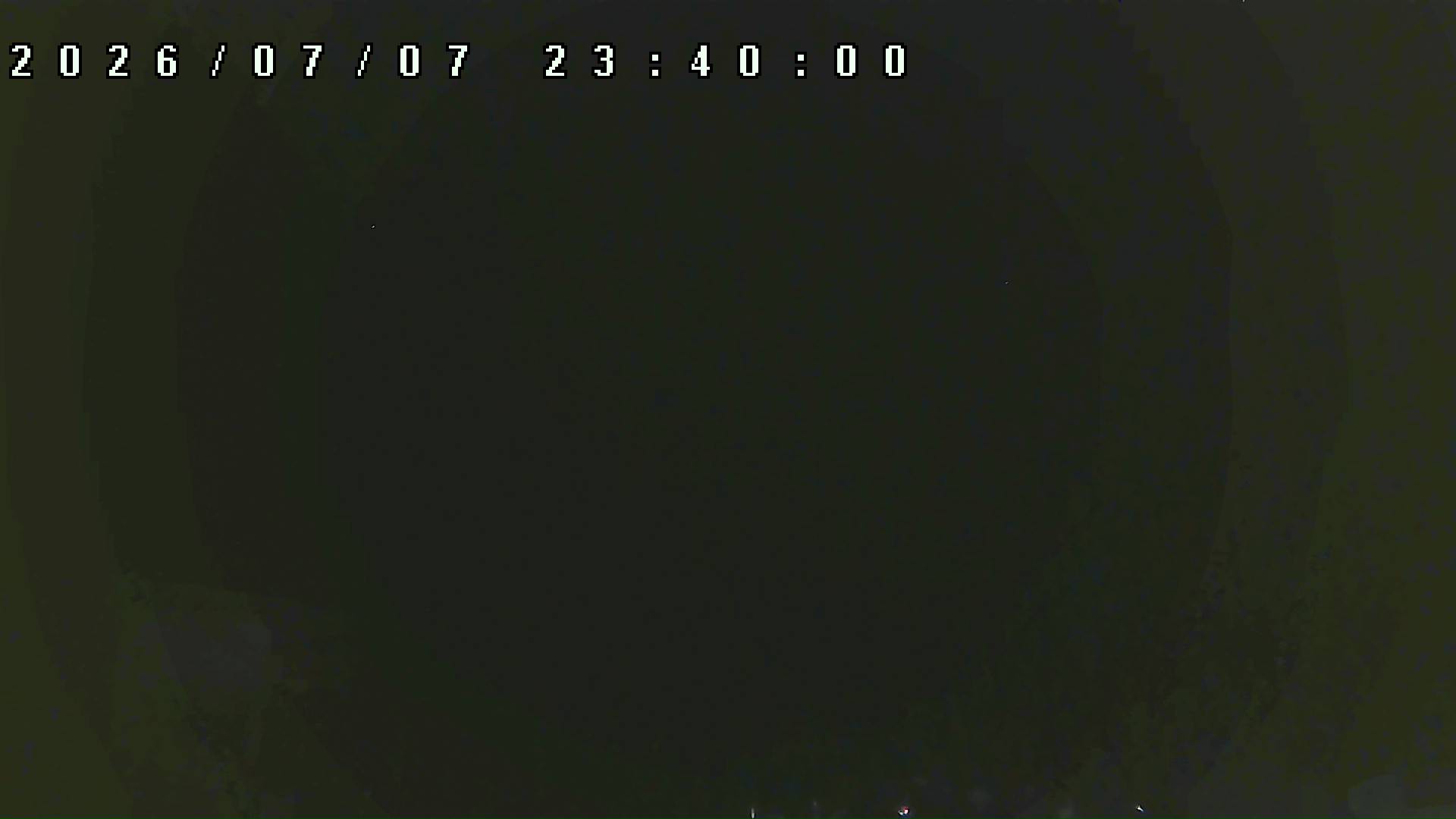 2026年7月7日 23:40ごろの金剛山登山口周辺の空