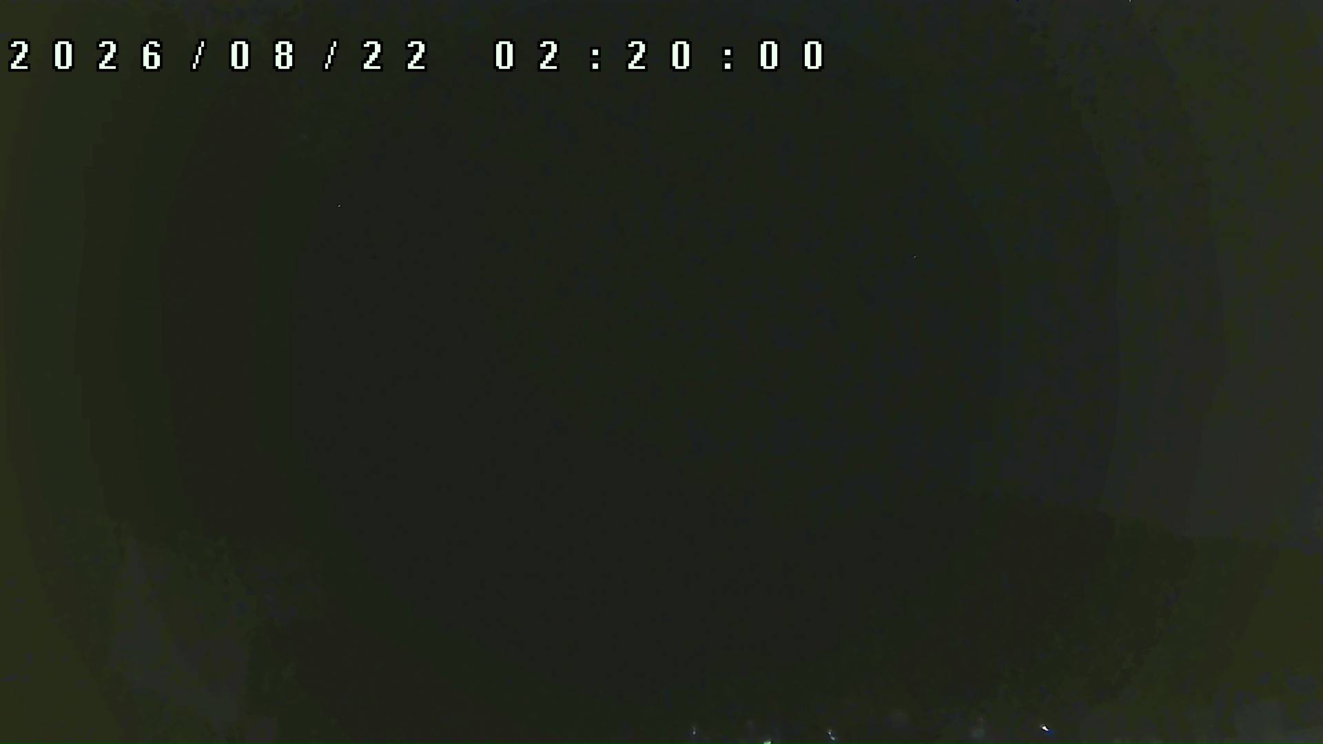 2026年8月22日 02:20ごろの金剛山登山口周辺の空