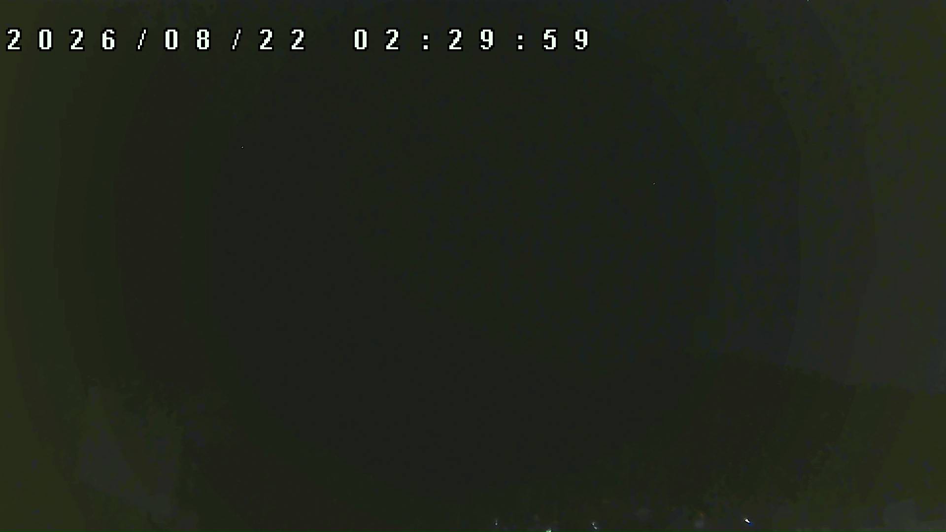 2026年8月22日 02:30ごろの金剛山登山口周辺の空