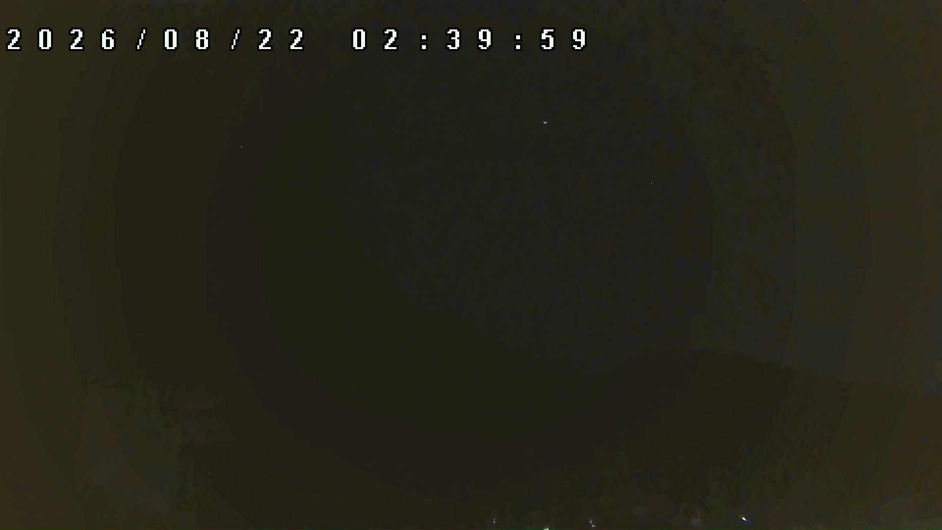 2026年8月22日 02:40ごろの金剛山登山口周辺の空
