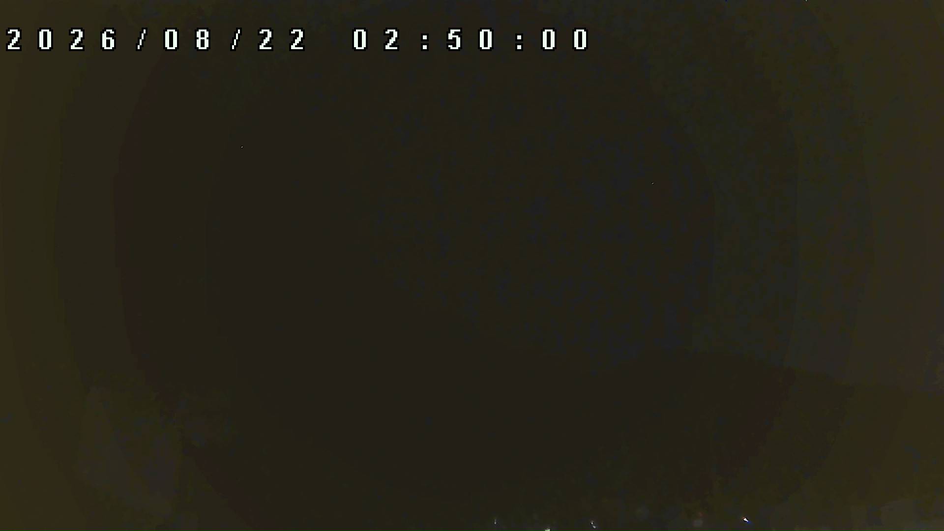 2026年8月22日 02:50ごろの金剛山登山口周辺の空
