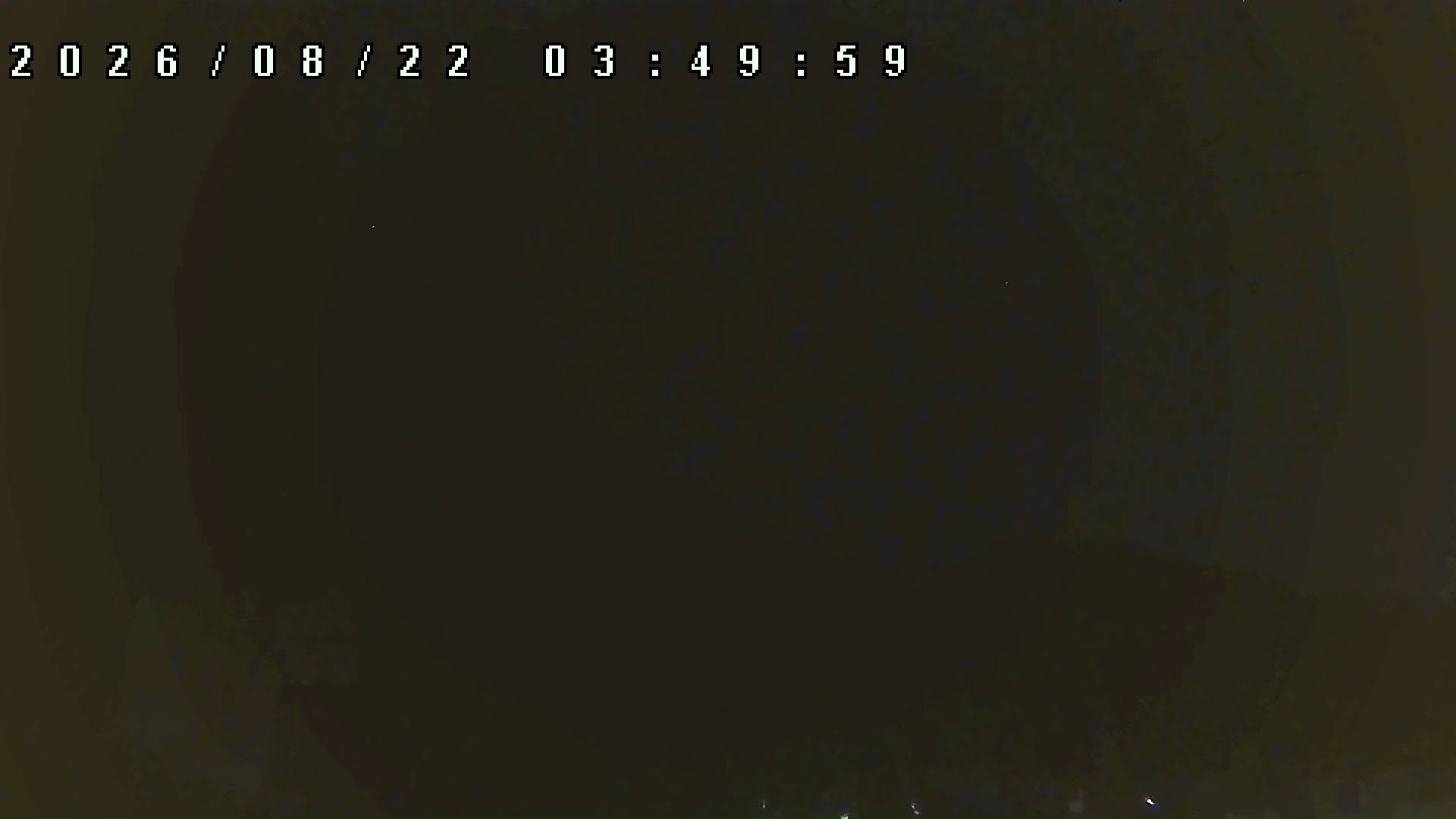 2026年8月22日 03:50ごろの金剛山登山口周辺の空