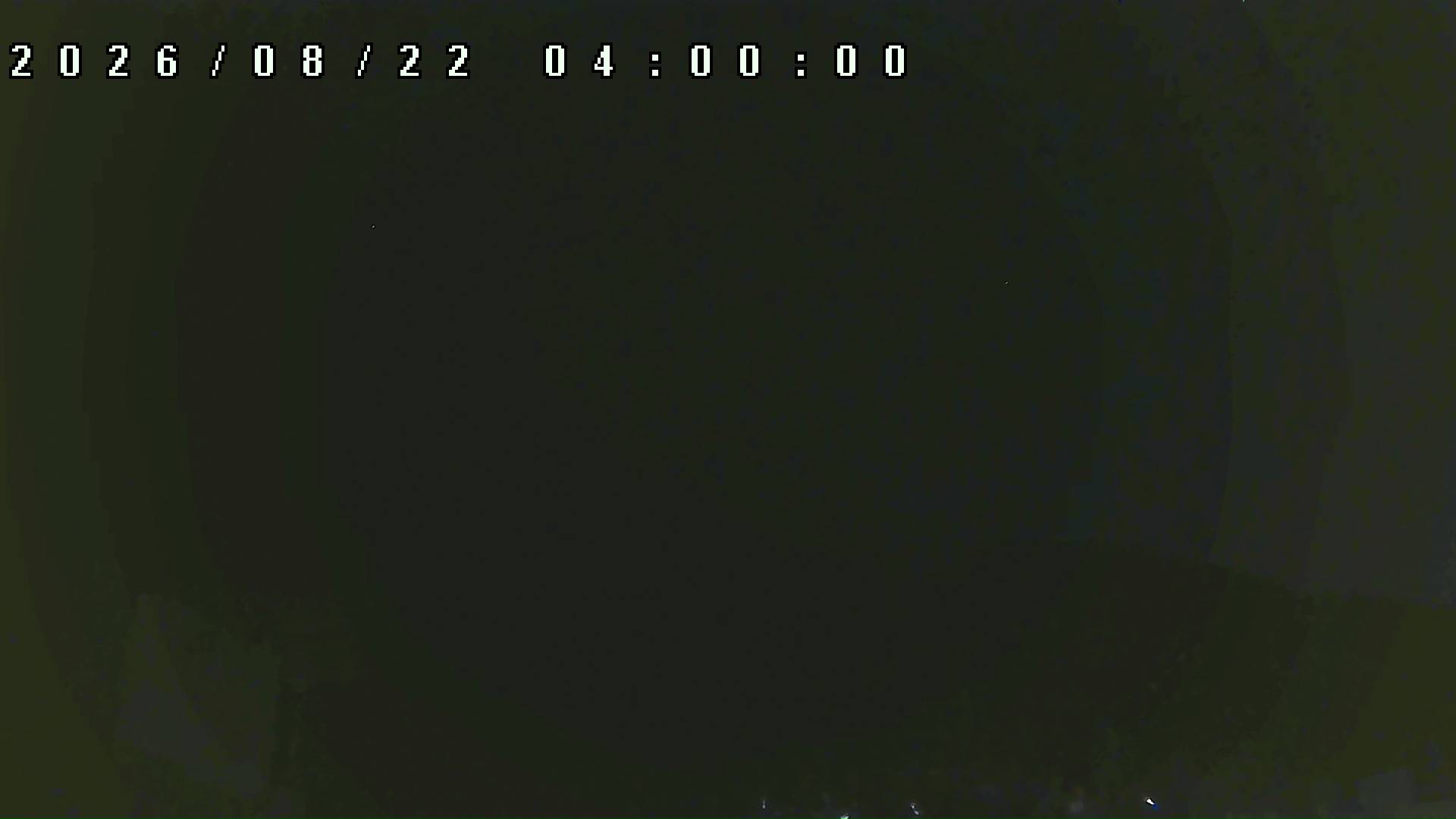 2026年8月22日 04:00ごろの金剛山登山口周辺の空