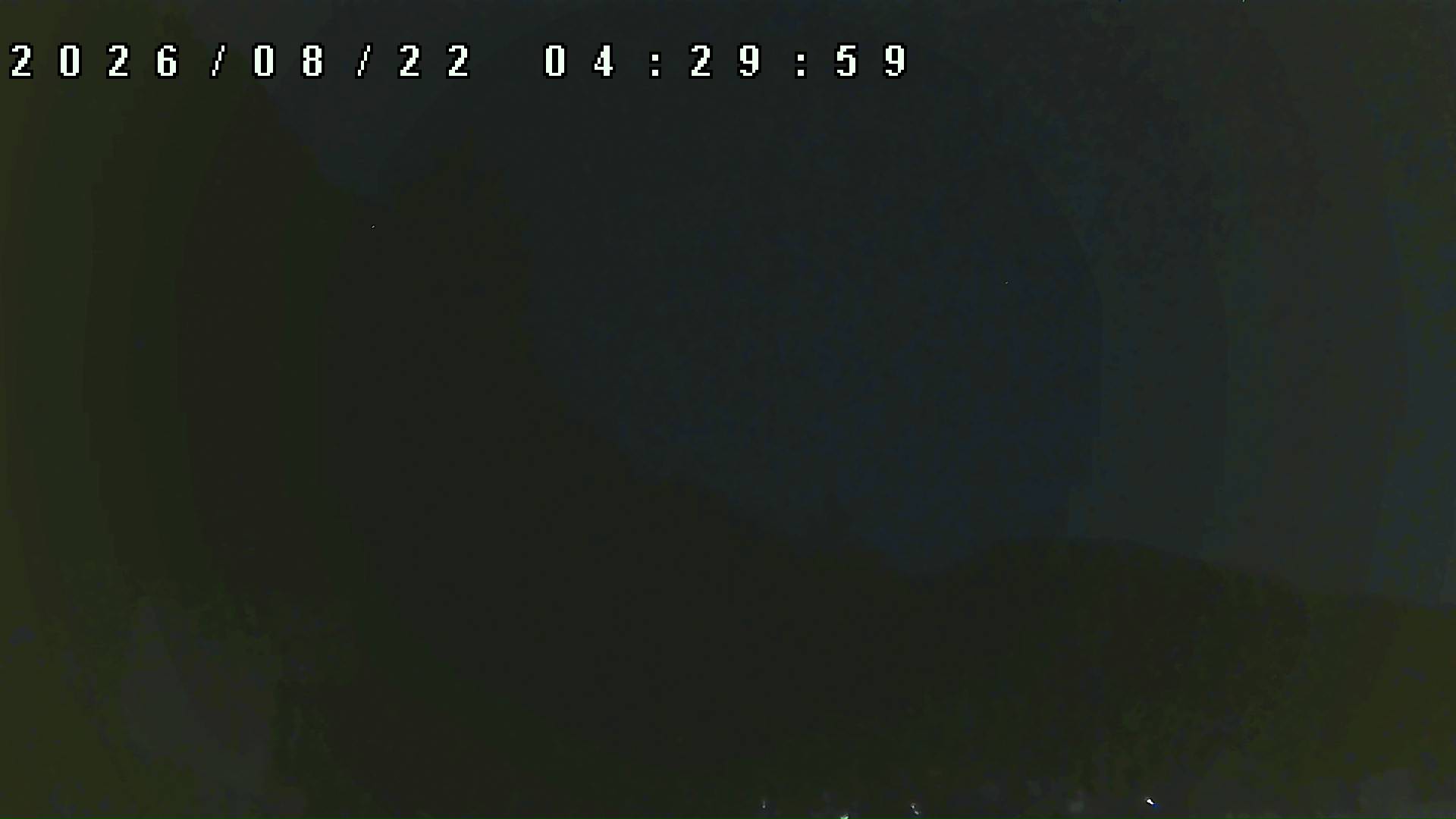 2026年8月22日 04:30ごろの金剛山登山口周辺の空