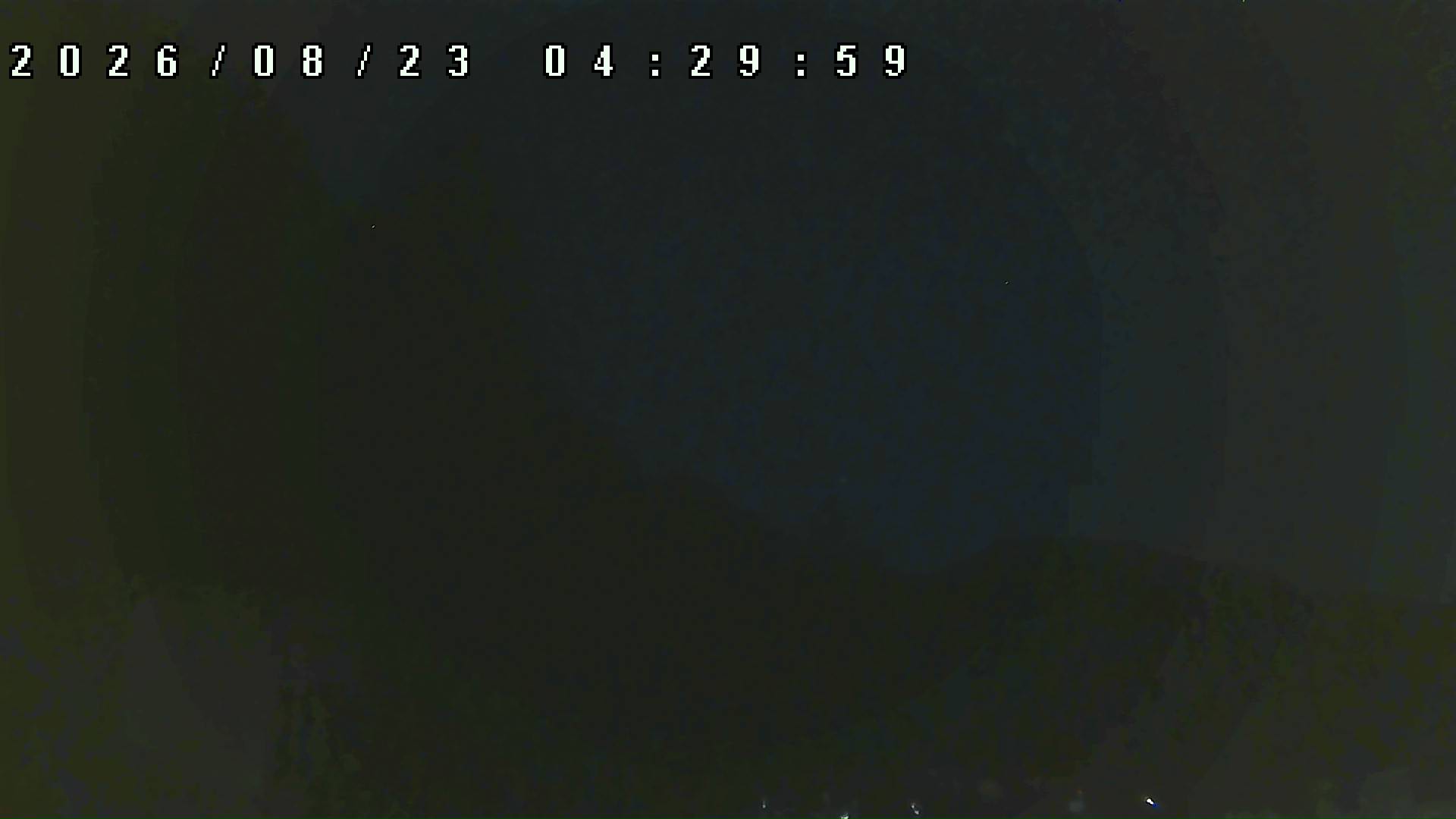 2026年8月23日 04:30ごろの金剛山登山口周辺の空