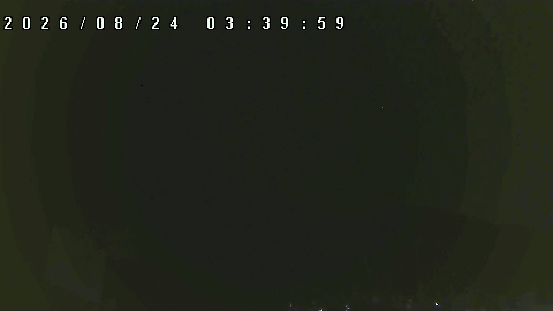 2026年8月24日 03:40ごろの金剛山登山口周辺の空
