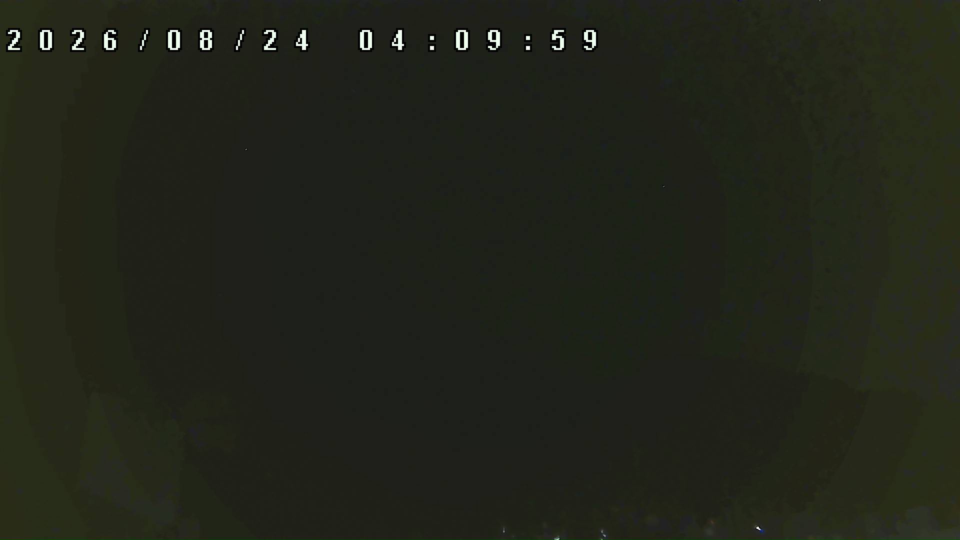 2026年8月24日 04:10ごろの金剛山登山口周辺の空