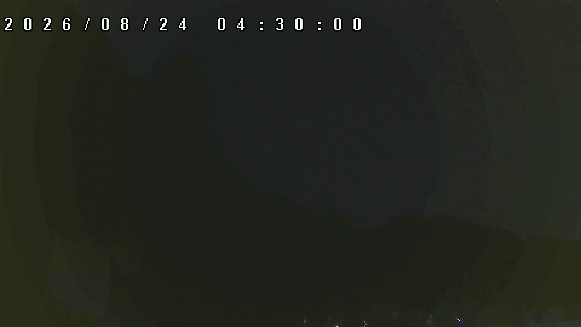 2026年8月24日 04:30ごろの金剛山登山口周辺の空