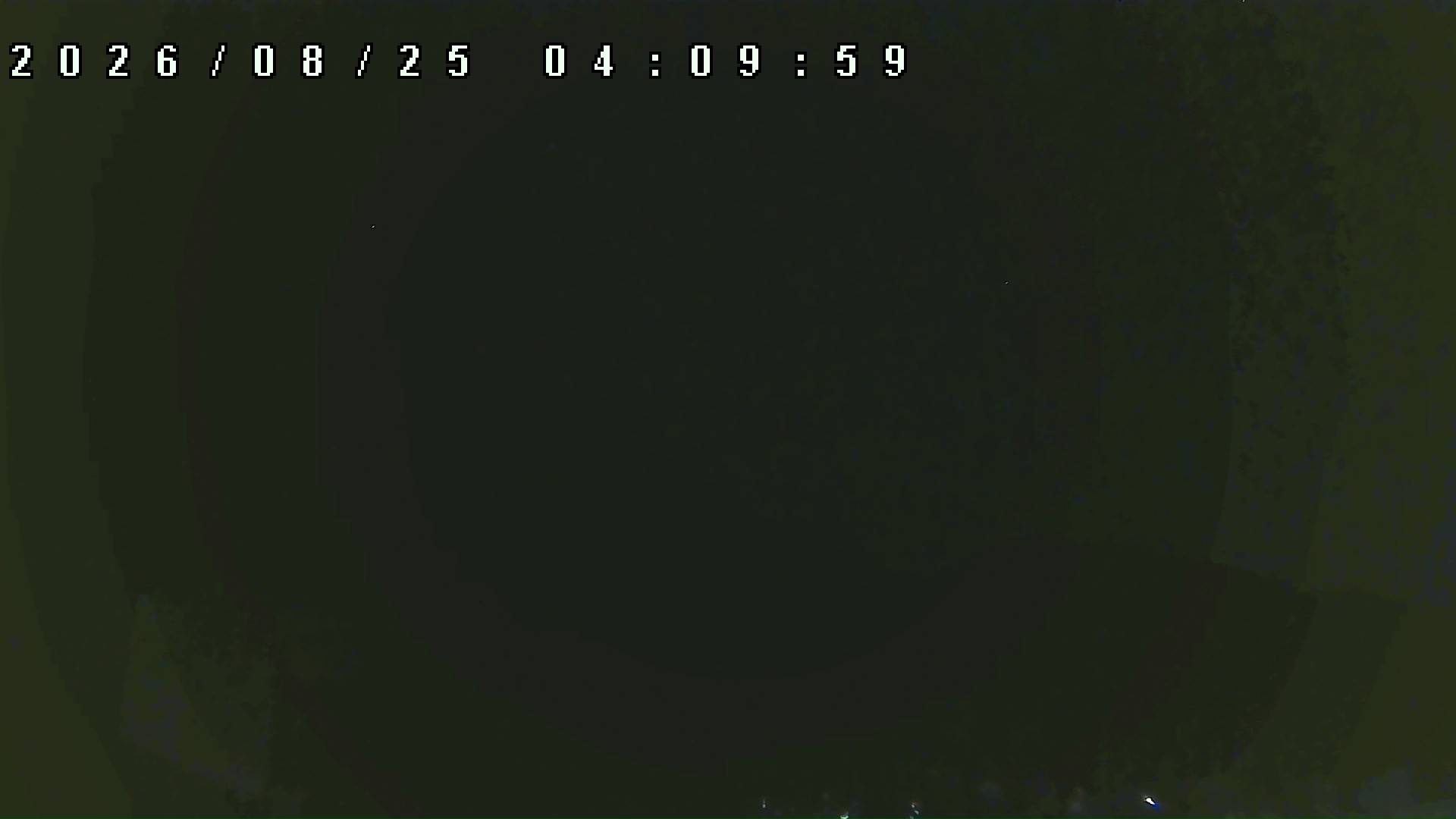 2026年8月25日 04:10ごろの金剛山登山口周辺の空