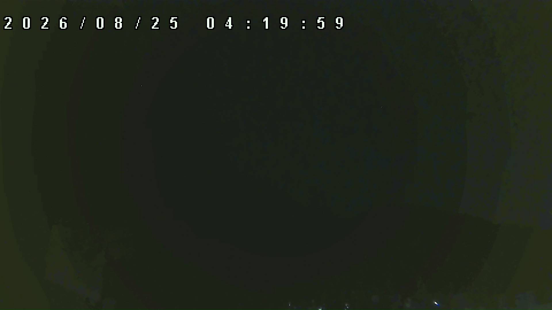 2026年8月25日 04:20ごろの金剛山登山口周辺の空