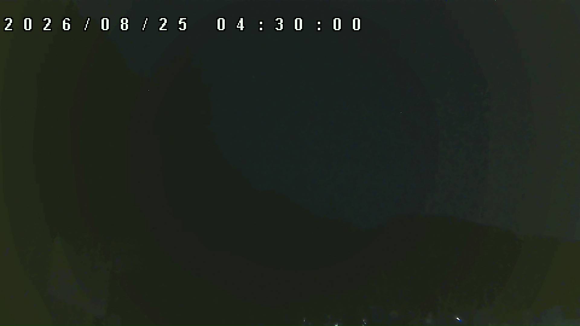 2026年8月25日 04:30ごろの金剛山登山口周辺の空