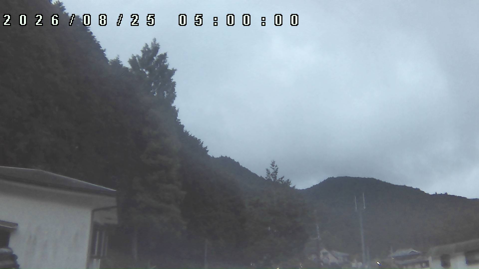 2026年8月25日 05:00ごろの金剛山登山口周辺の空