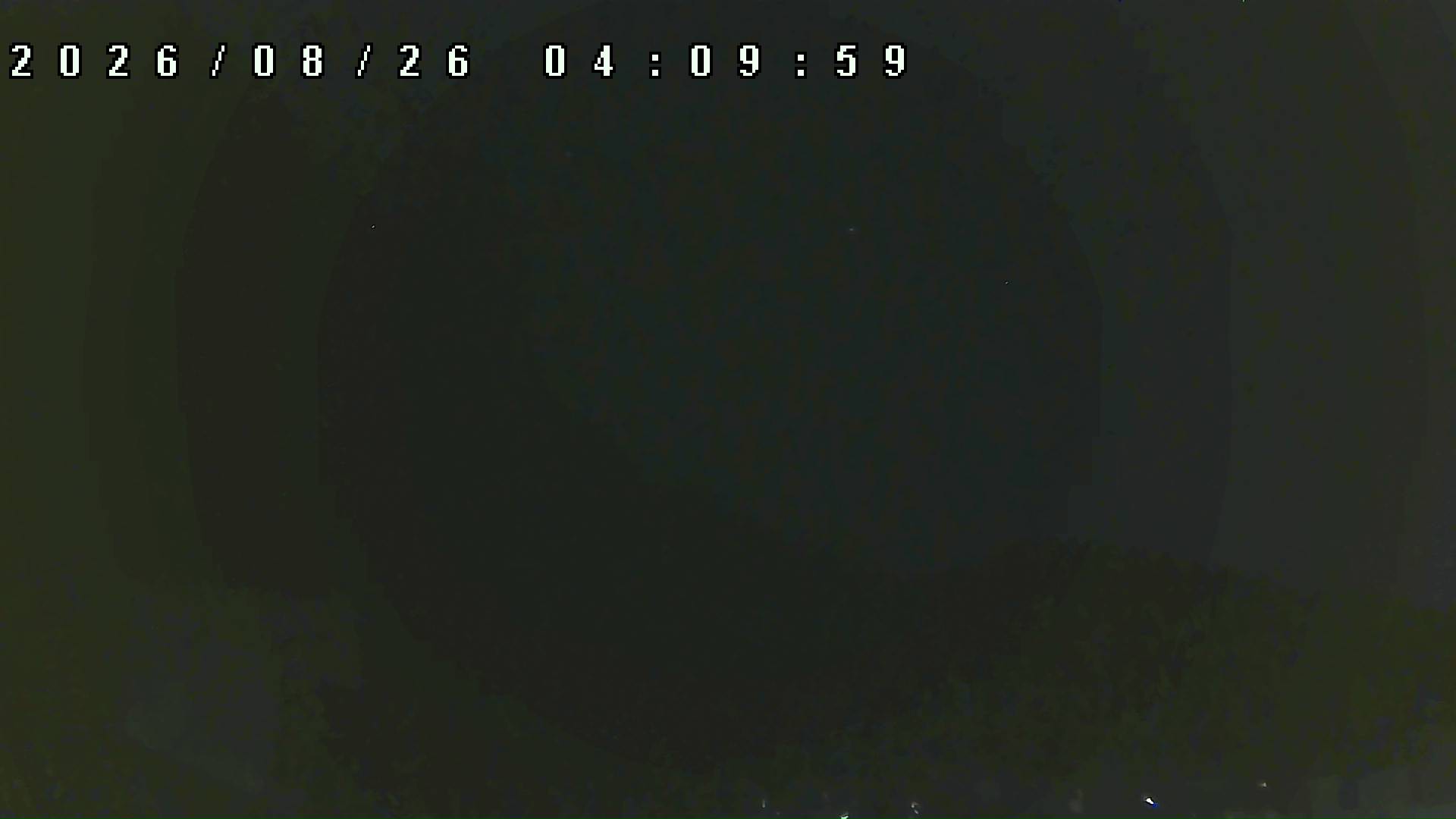 2026年8月26日 04:10ごろの金剛山登山口周辺の空