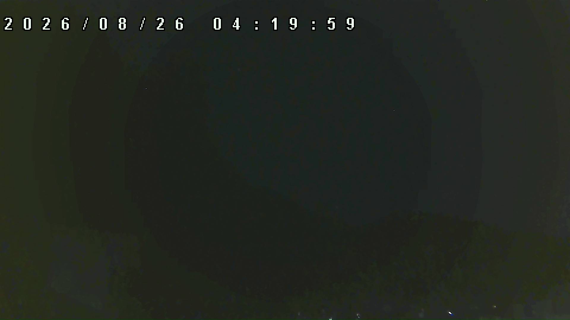 2026年8月26日 04:20ごろの金剛山登山口周辺の空