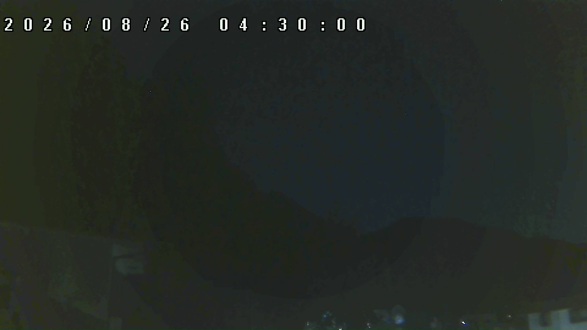 2026年8月26日 04:30ごろの金剛山登山口周辺の空