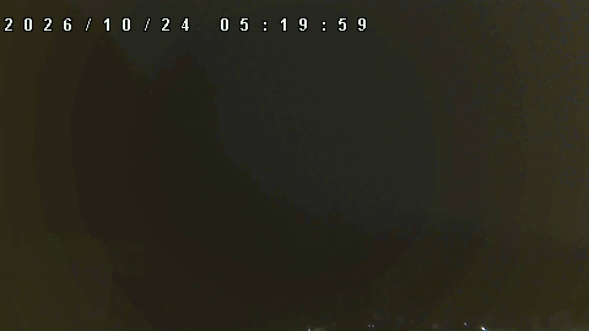 2026年10月24日 05:20ごろの金剛山登山口周辺の空
